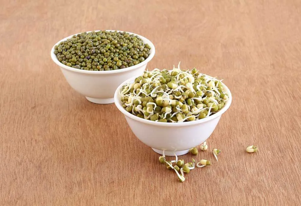 Sprouted Moong