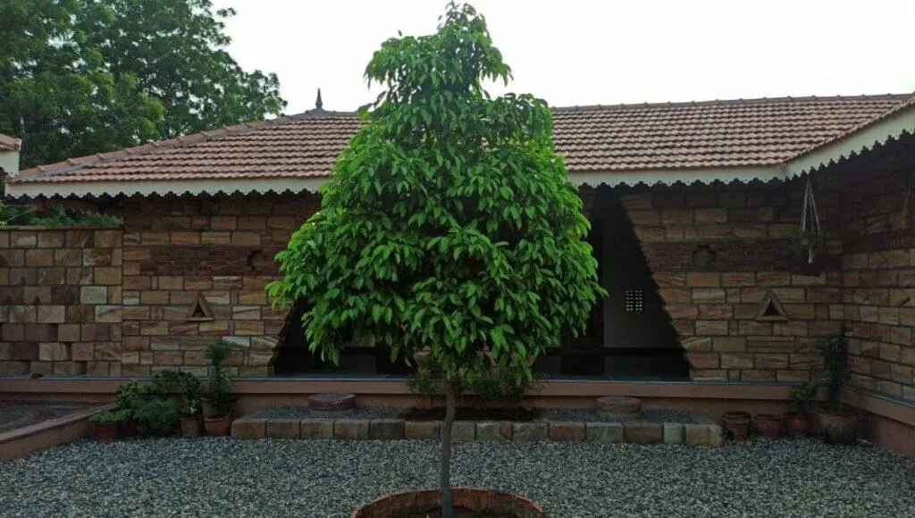 Eco Friendly Architecture
