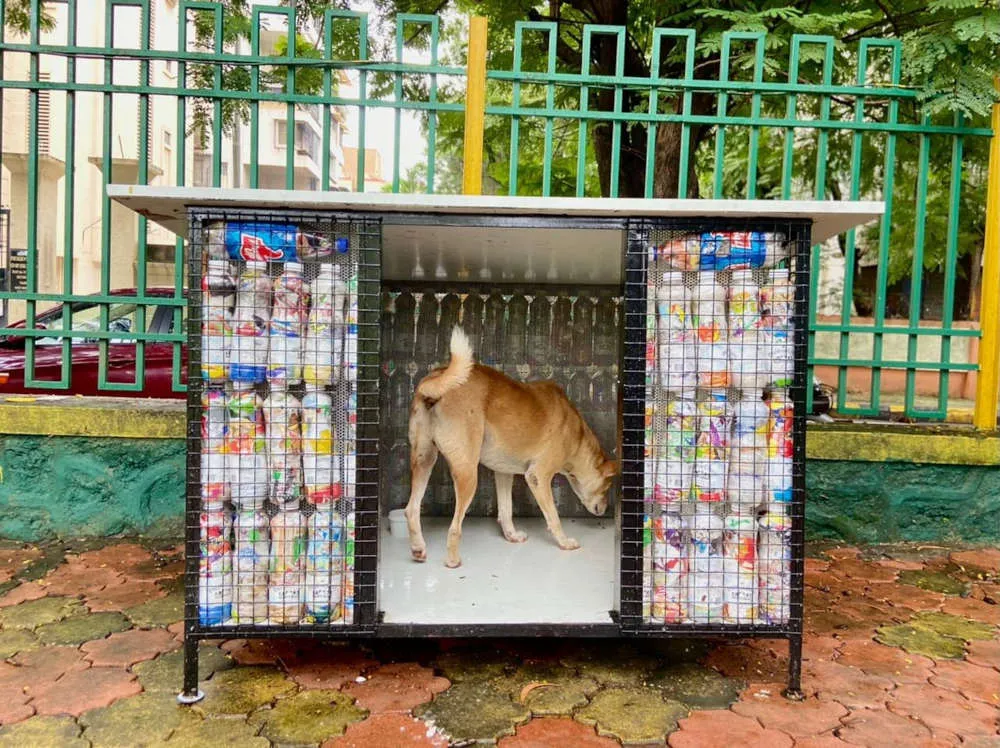 plastic waste management