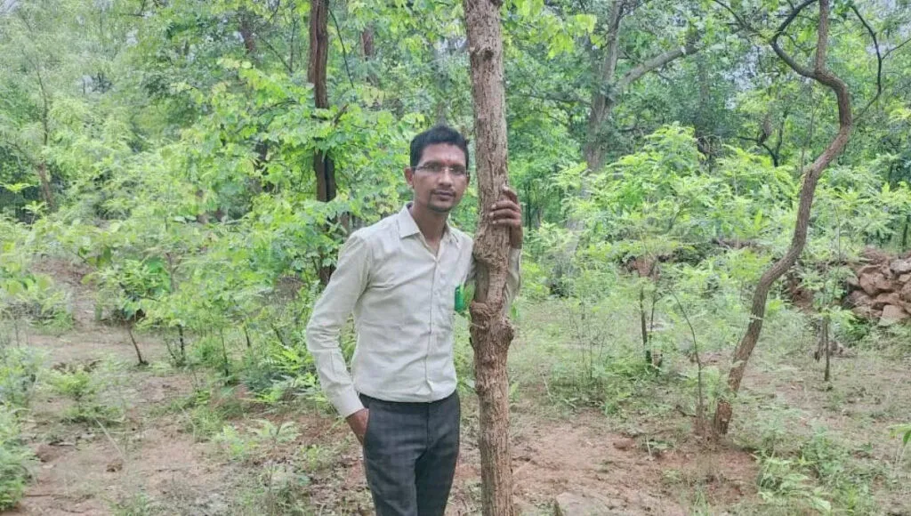 Tree Plantation