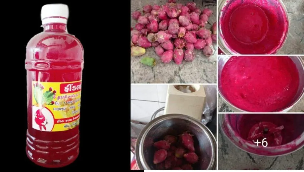 Findla Juice Benefits