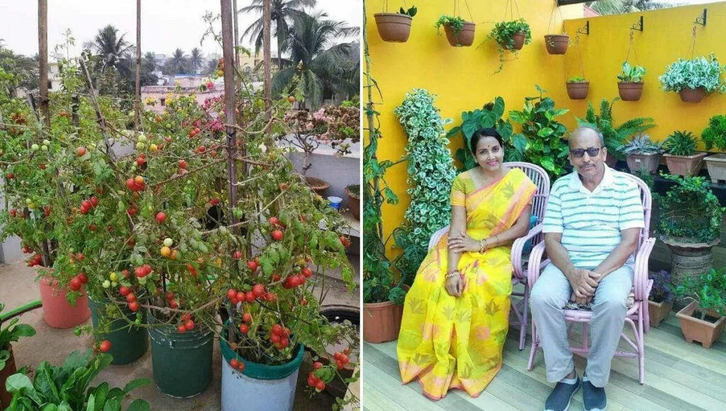 Flower Gardening