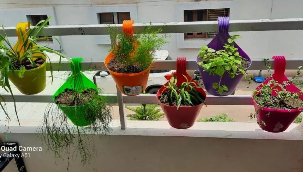 Garden in Small Place