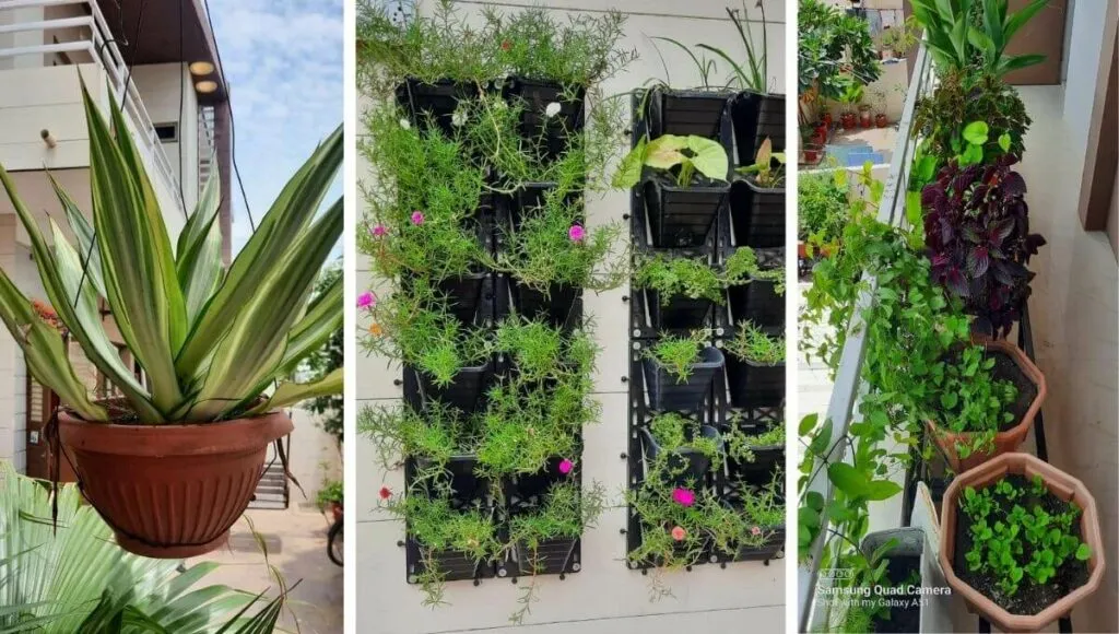 Budget Small Garden Ideas
