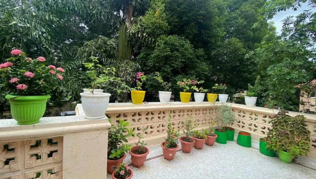 Kitchen Gardening