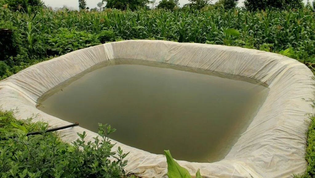 how to save rain water