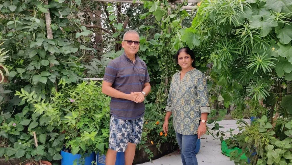 Terrace Vegetable Garden