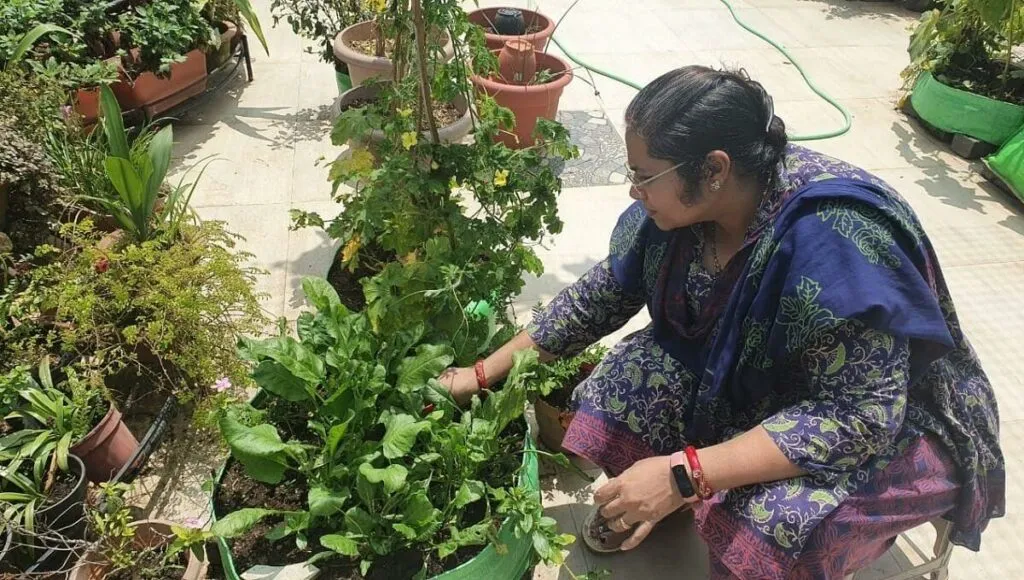 3 Easiest Vegetables To Grow For Home