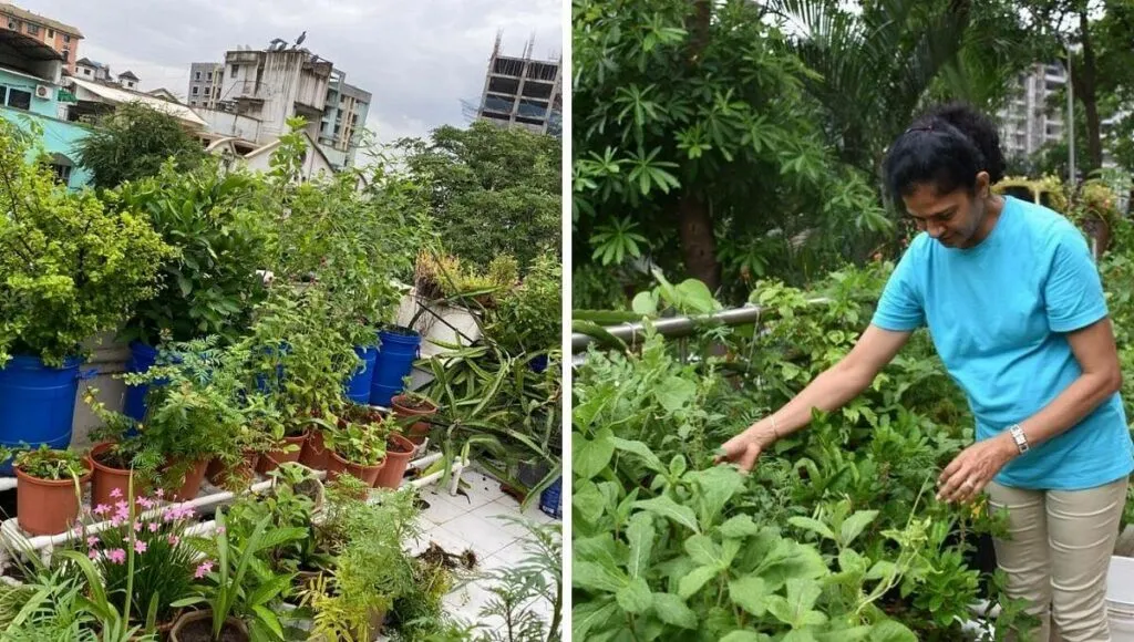 Small Home Terrace Garden