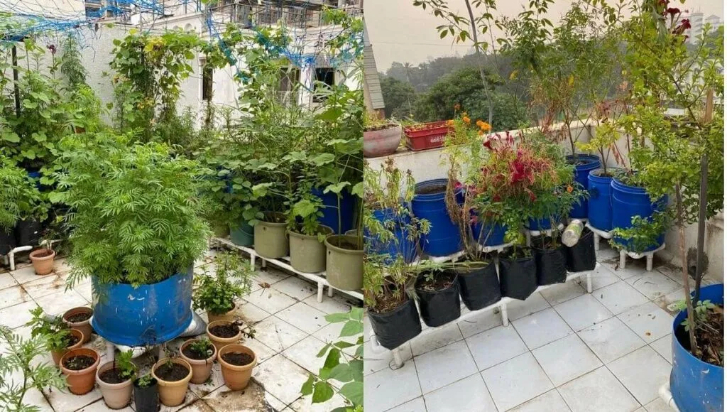Small Home Terrace Garden