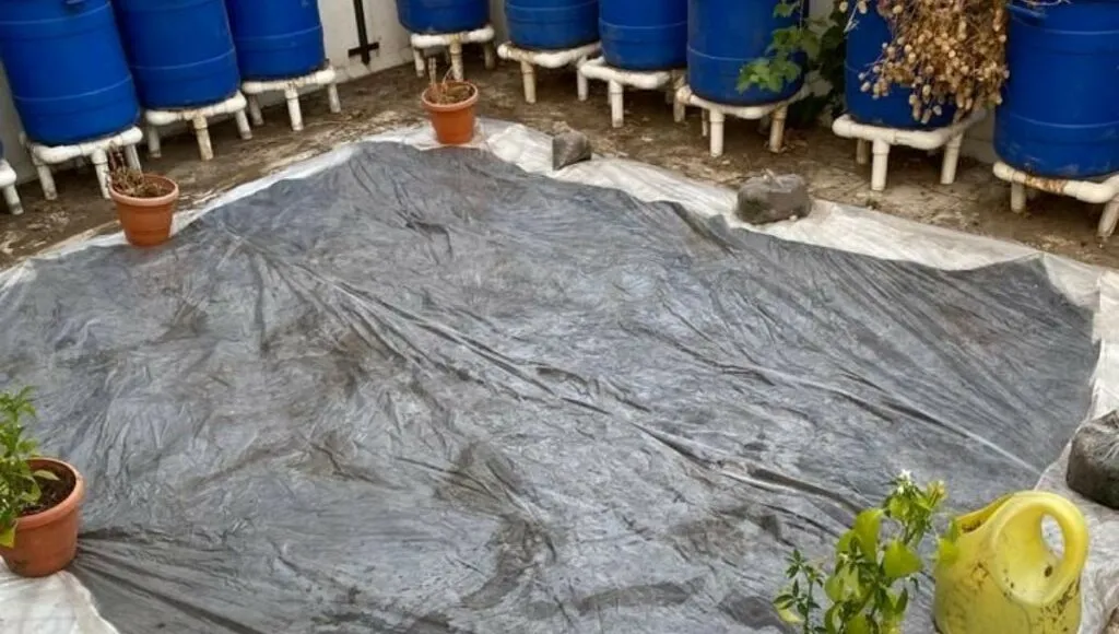 Grow Vegetables On Terrace