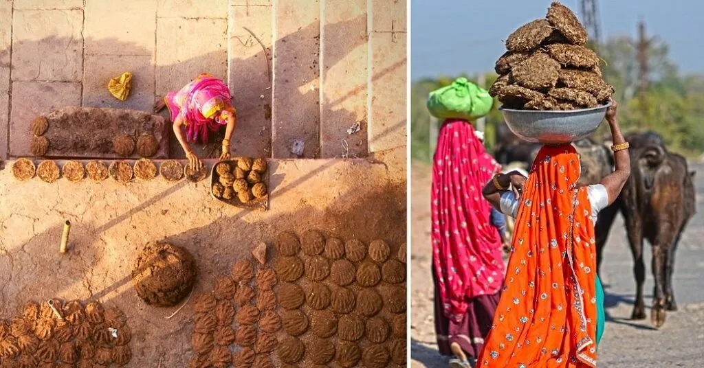 ગોબરમાંથી લાકડાં