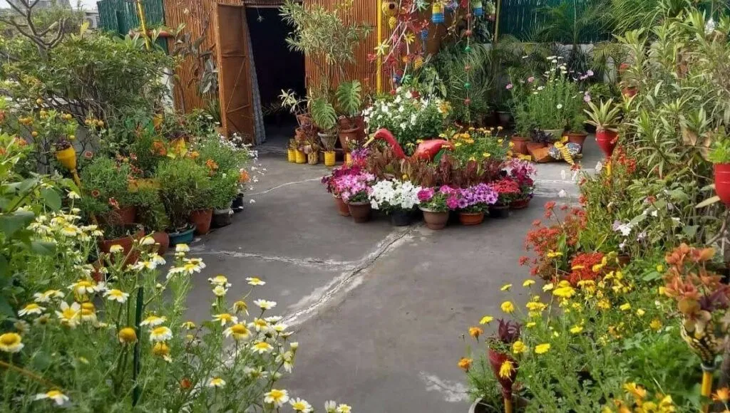  Flowers In Garden