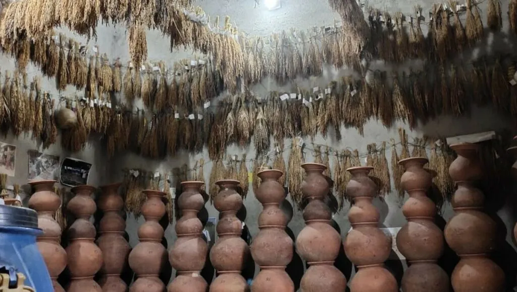  Kalabati Rice