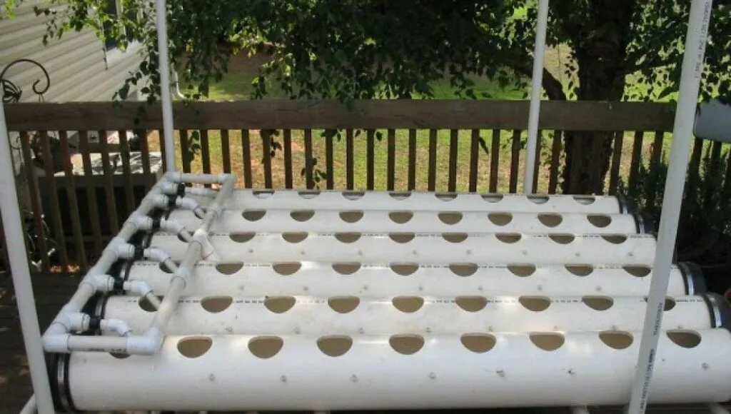 Hydroponic Farming Business