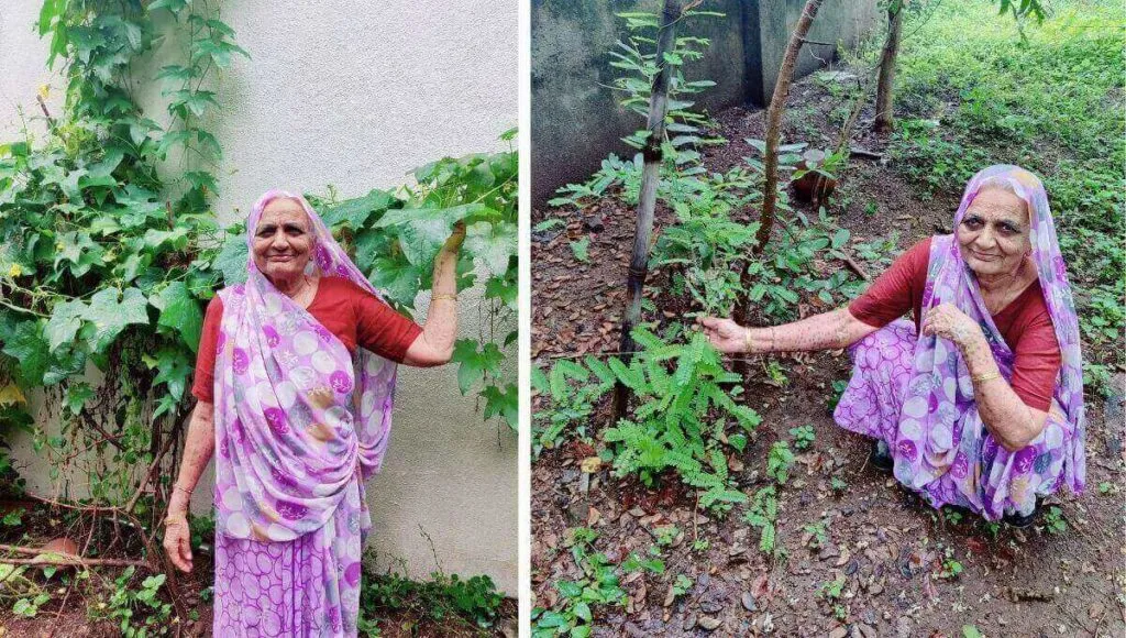 Herbal Garden In Home