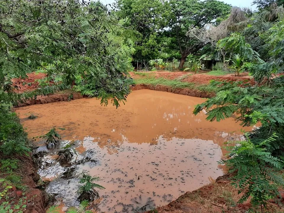 Rain Water Harvesting
