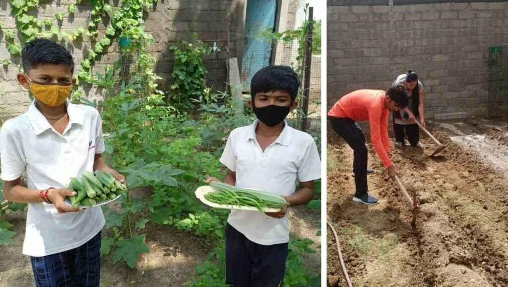 Tree Plantation Activity