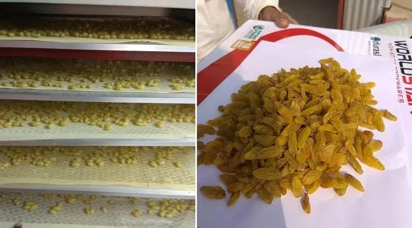 Food Processing