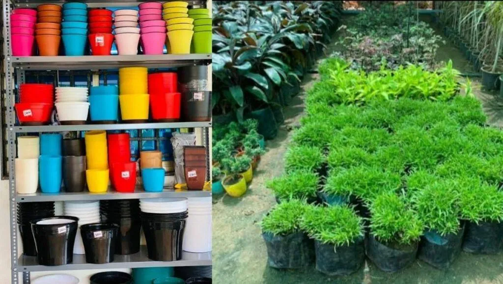  Nursery Business Profit