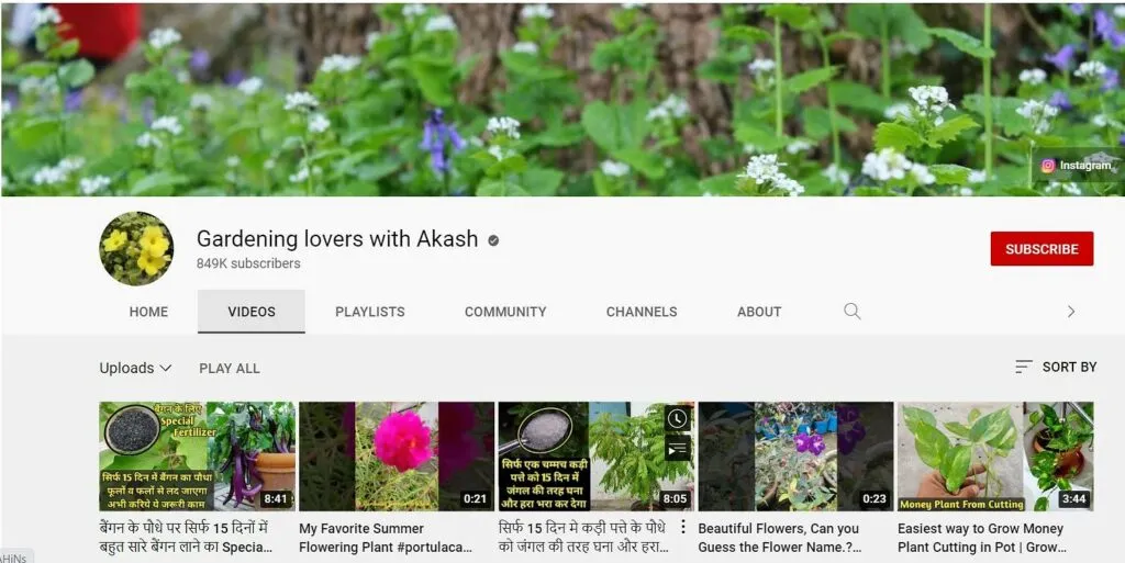 Extra Income By Youtube