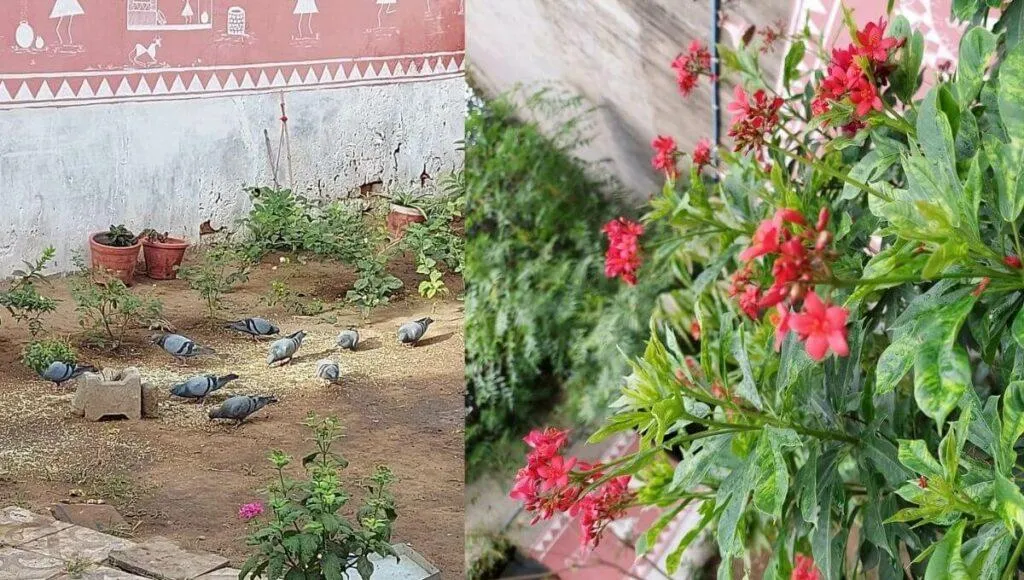 Natural Place In City