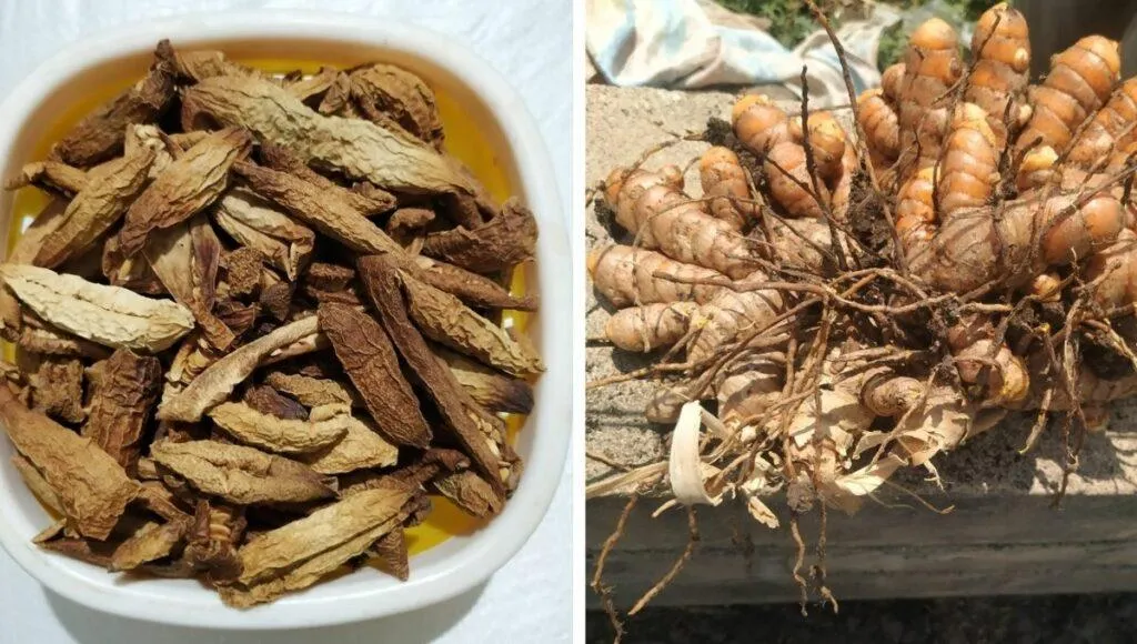 Organic Farm Products In India
