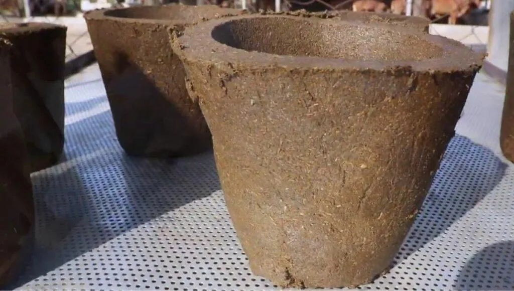 How To Make Cow Dung Products