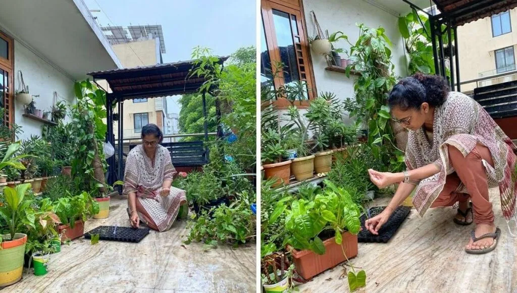 Growing Vegetables