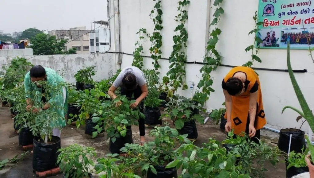 Sustainable School