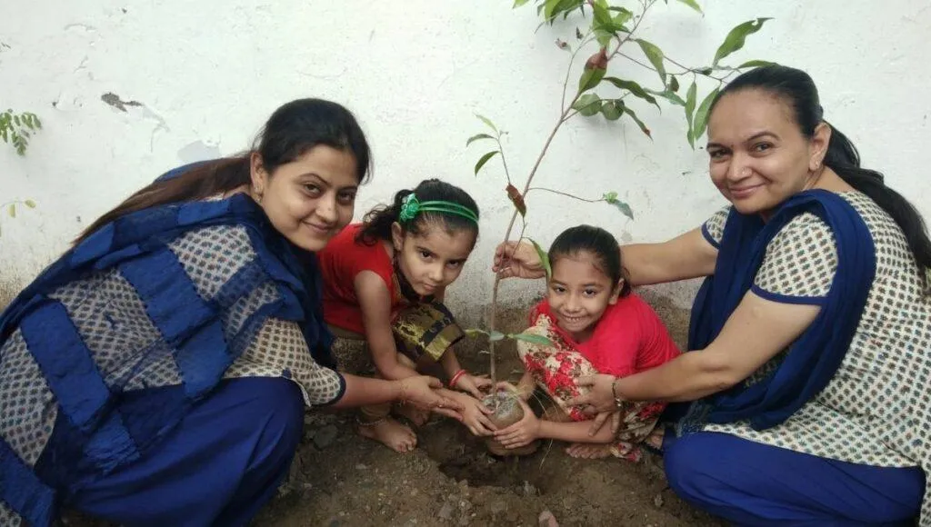 Tree Plantation In School,