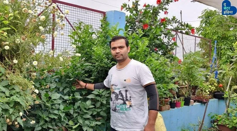 Vertical Gardening Ideas By Ankit