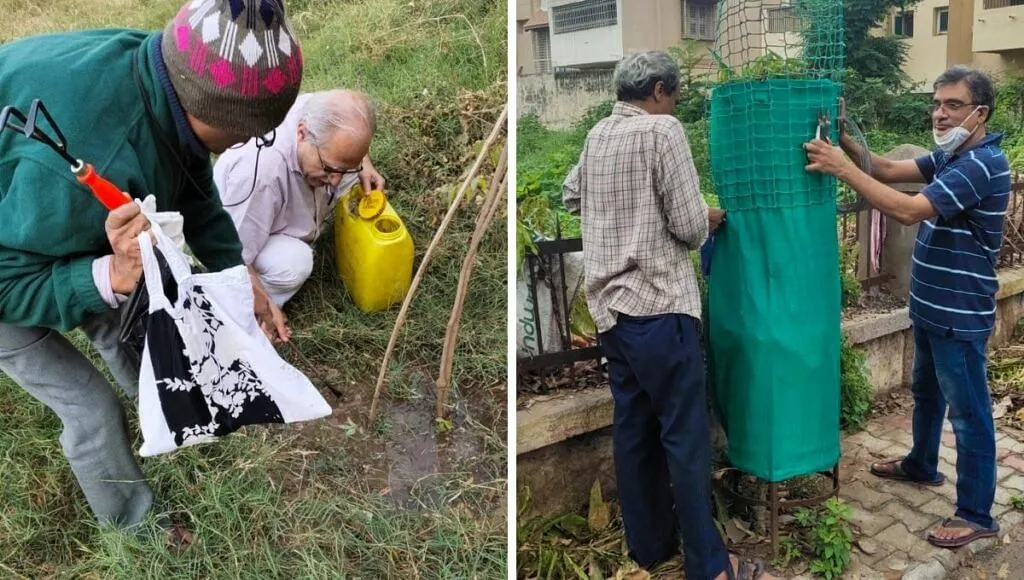 Plantation In Neighbourhood