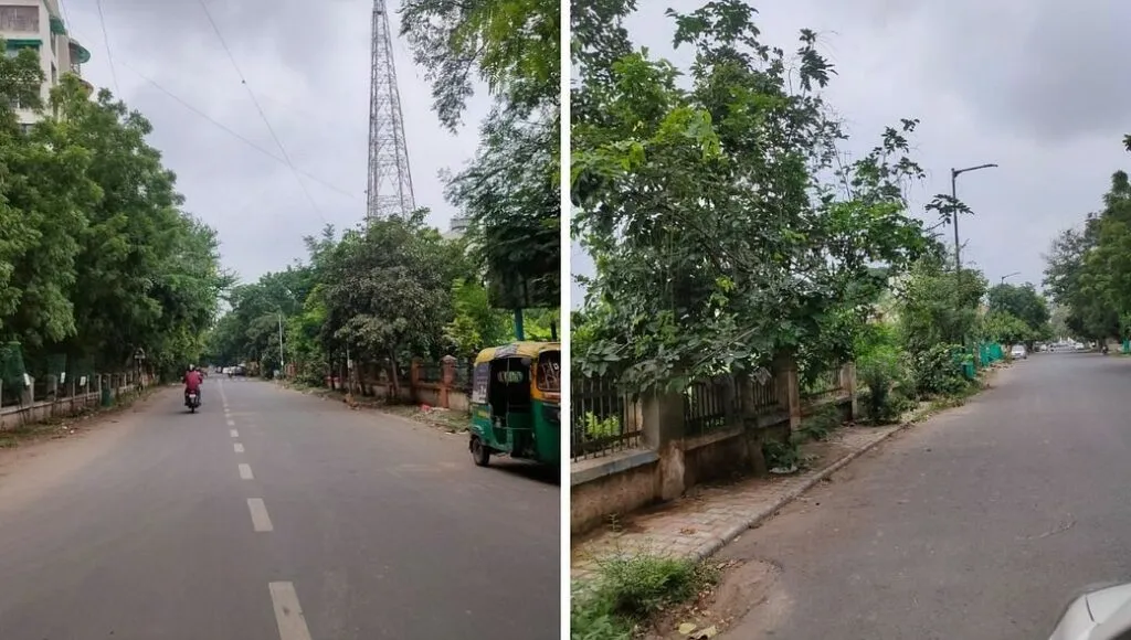 Plantation Benefits