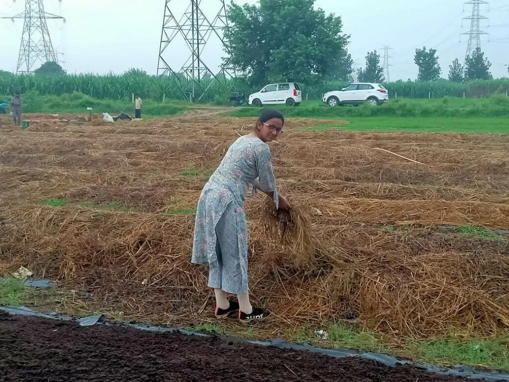 Agriculture Products Startup