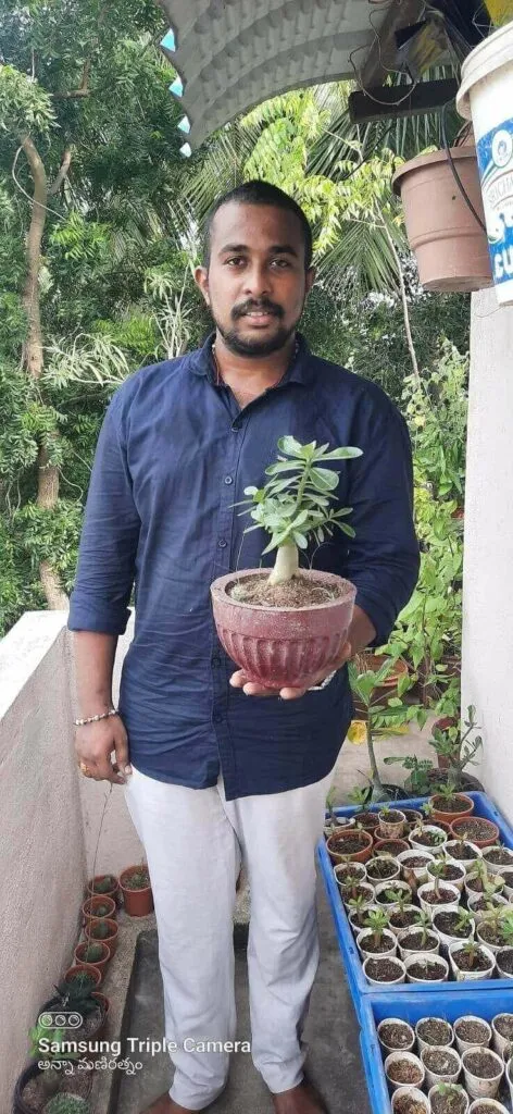 Low Budget Plants To Grow At Home
