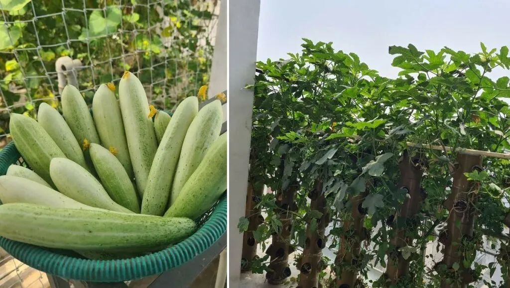 Gardening,
