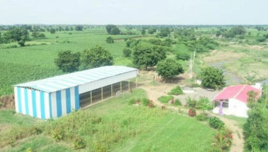 Dairy Farm Business