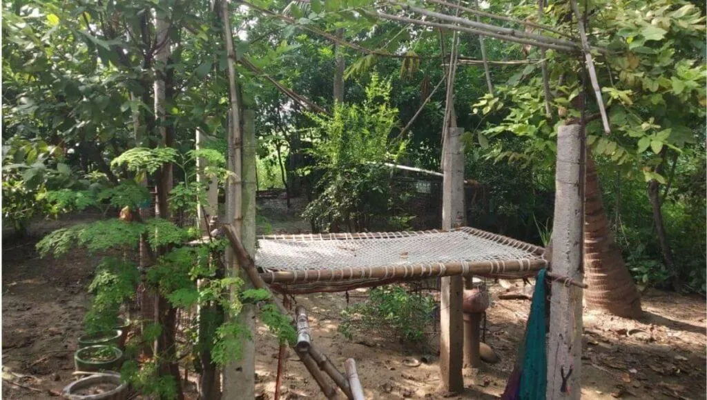 Save Nature