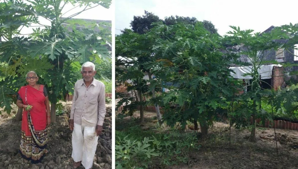 Gujarat Village