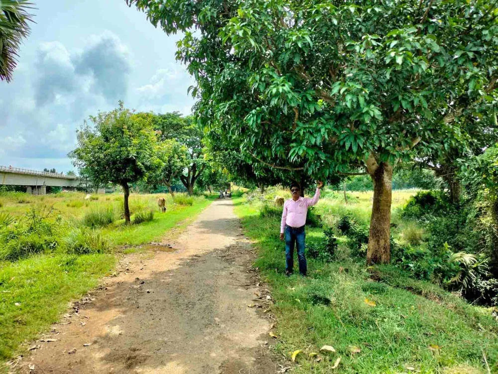 Tree Man
