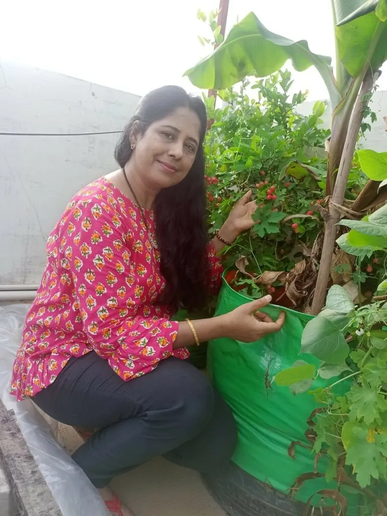  Gardening