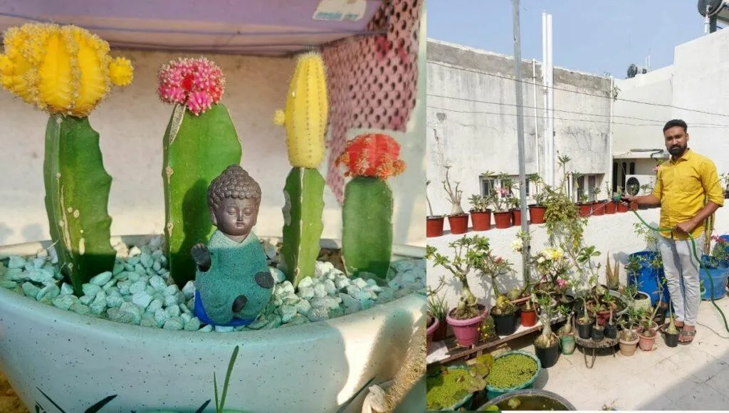 Gardening Tips