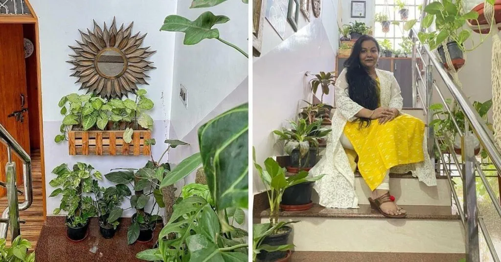 ઘરમાં મની  પ્લાન્ટ