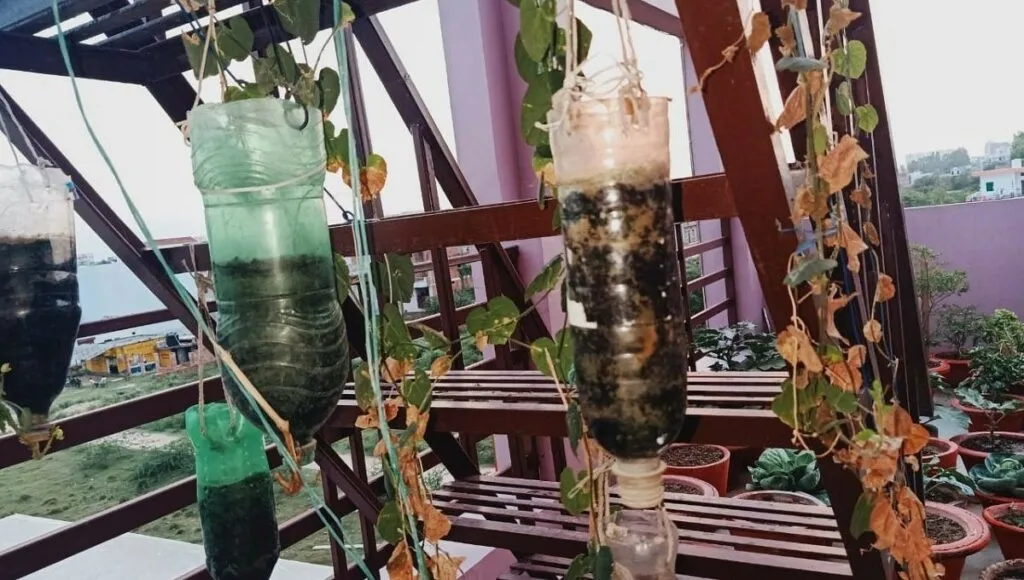 Cold drink Bottle Planters