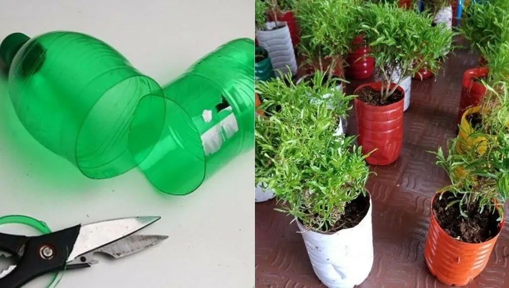 DIY Planters