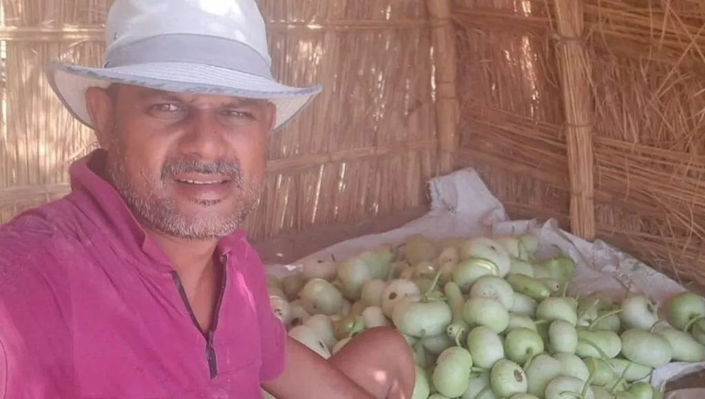  Organic Farming By Ravi