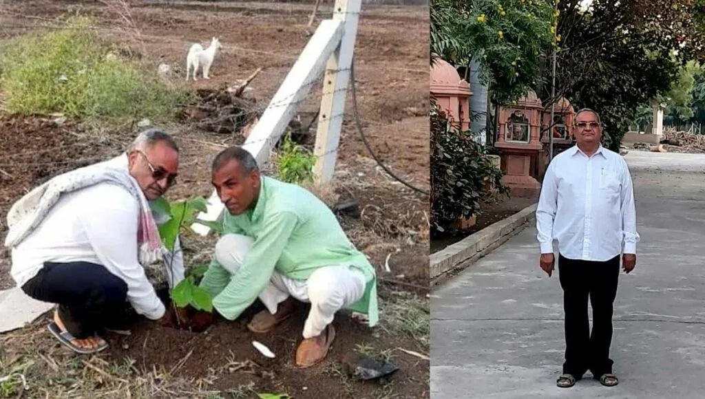Tree Plantation