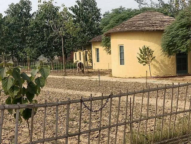 Natural Farming