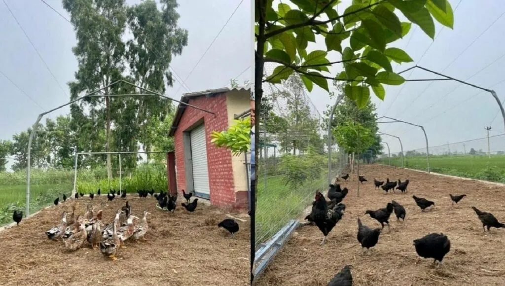 Natural Farming